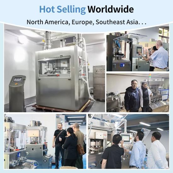 Rotary ZP Tablet Press Machine