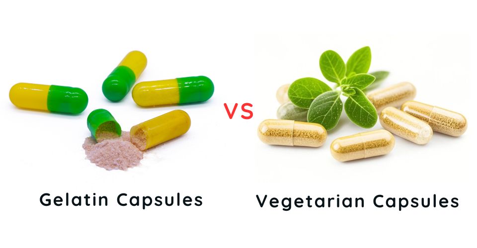 Gelatin vs Vegetarian Capsules: Which One to Choose for Capsule Filling?